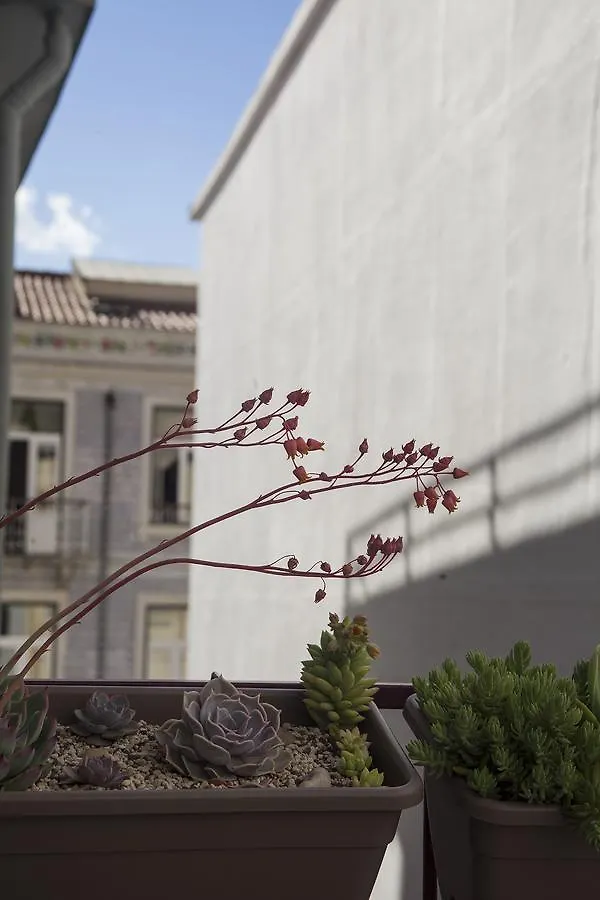 Lisbon Poets Inn
