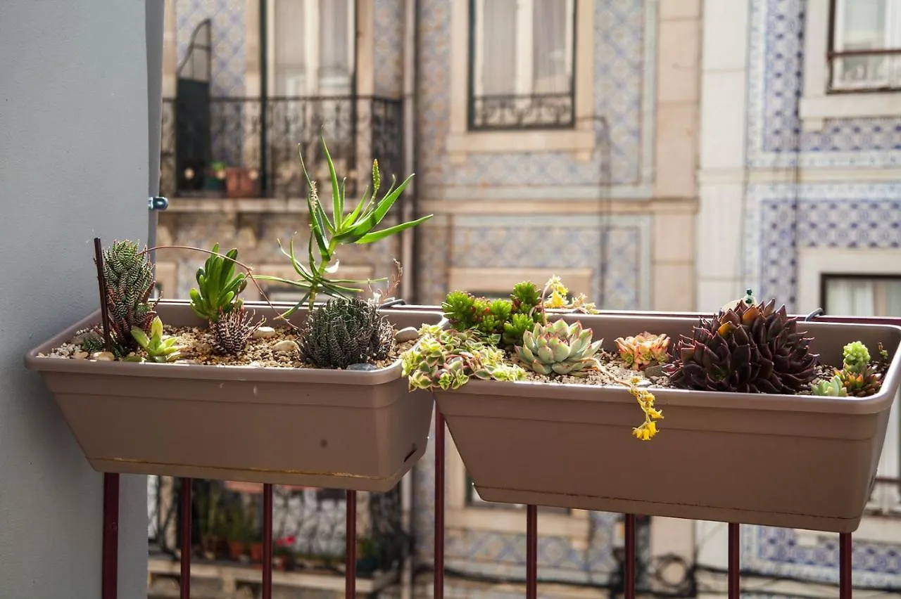 Lisbon Poets Inn بيت شباب
